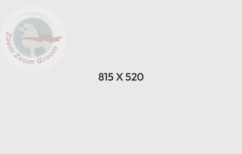 kmspico official ✓ Activate Windows & Office 2024 ➤ Bypass Activation Easily