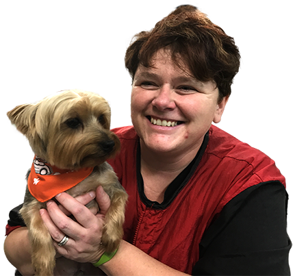 Dog grooming school Regina