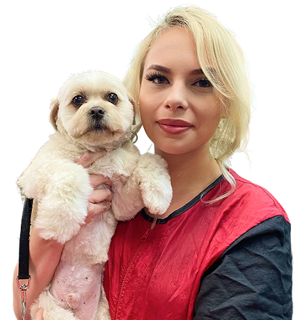 Pets grooming services Regina