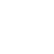 Prezoomably Cats Feline Services