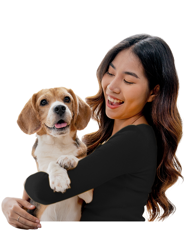 Dog Grooming