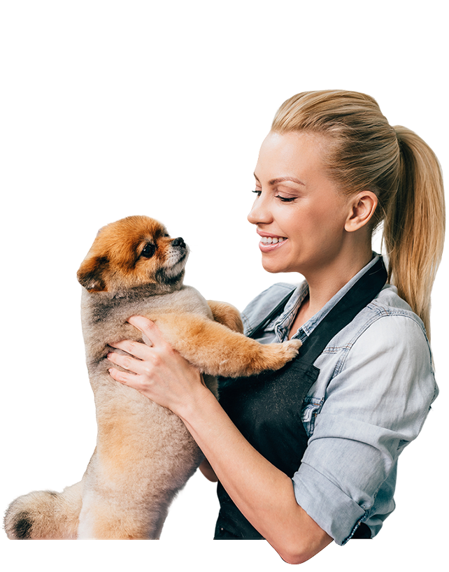 Pet Grooming Academy