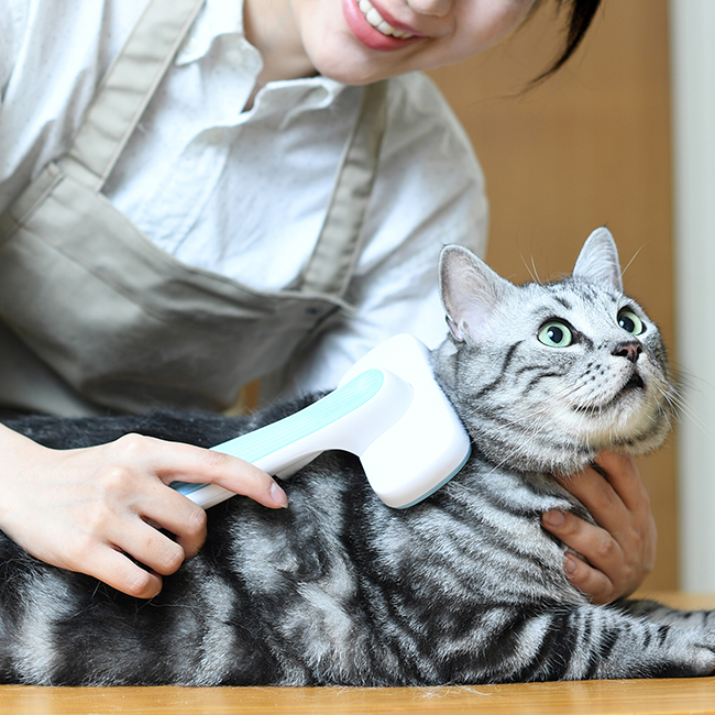 Handling Anxious Cats During Grooming: A Step-By-Step Guide