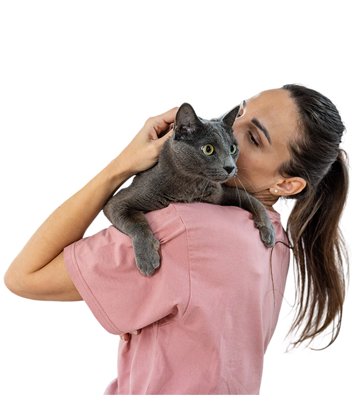 Pet Grooming Services Regina